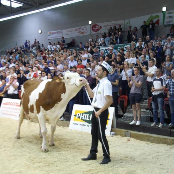 L'an dernier c'est le juge haut-saônois Gaétan Laprevote qui avait jugé le Montbéliard Prestige. Crédit photo : A.Coronel