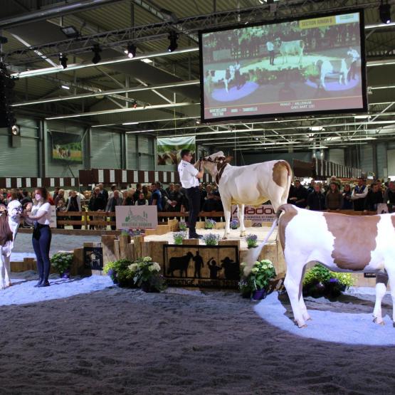 En 2023, en raison de la proximité avec le National Montbéliard, une édition junior du Prestige avait eu lieu à Micropolis. Crédit photo : S.Vivot (TCN)