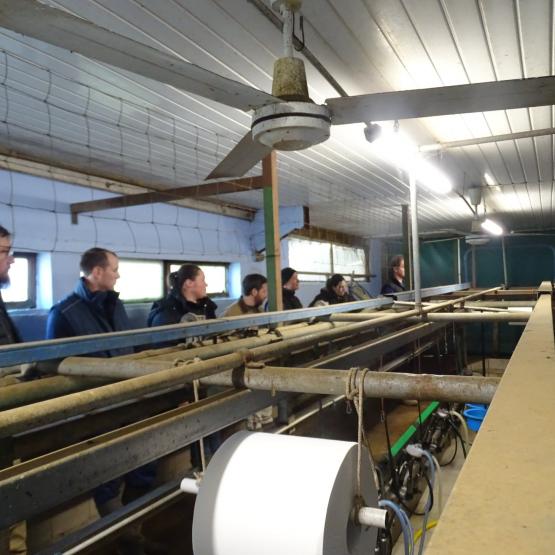 La salle de traite est une des zones clés à vérifier sur le plan électromagnétique. Crédit photo : Marion Churout