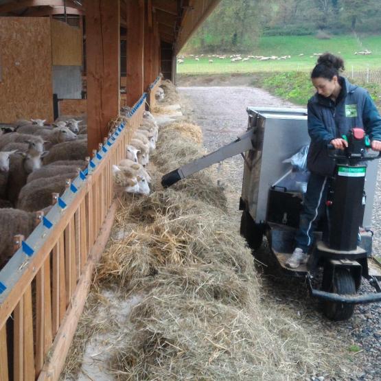 Les charges de mécanisation pèse de plus en plus lourdement sur le revenu des éleveurs ovins. Crédit photo : CIIRPO