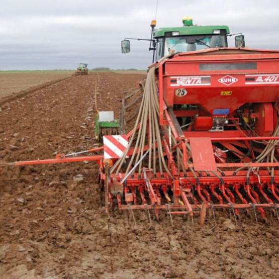Le décalage de la date de semis est un levier pertinent dans une optique de maîtrise des adventices. Crédit photo : Arvalis-Institut du végétal