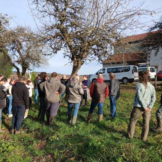 La conversion en bio n’est pas immédiate : elle dure de 18 mois à 3 ans, selon les productions mises en place, sans compter la phase de réflexion préalable. Crédit photo : L.Dalmasso/GAB70