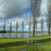 Le lac de Vaivre accueille de nombreux oiseaux des zones humides. Crédit photo : Thomas Bresson