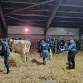 Cette première édition d’une finale départementale de pointage en race prim’holstein a remporté un beau succès. Crédit photo : Emma Chevallier