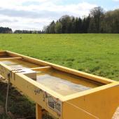 L’hygiène des abreuvoir est aussi un point de vigilance : ceux-ci doivent être régulièrement nettoyés des souillures organiques, sous peine de devenir des bouillons de culture. Crédit photo : A.Coronel