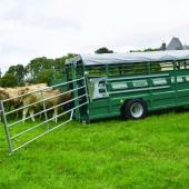 Les élevages en zone règlementée qui ont subi un blocage pendant la période du 04/10/2025 au 17/01/2026 conduisant à une diminution des sorties d'animaux recevront une aide forfaitaire.