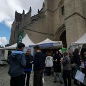 Plus de 50 000 visiteurs découvrent le patrimoine gastronomique lors du week-end gourmand du chat perché. Crédit photo : Laurine Laroche