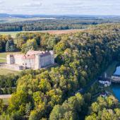 Le château de Ray-sur-Saône, dans son écrin de nature, est une des merveilles architecturales du département. Crédit photo : DR