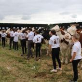 Moments de convivialité et d’émotion partagés entre éleveurs, les comices sont aussi un lieu de transmission de la passion de l’élevage... Crédit photo : A.Coronel
