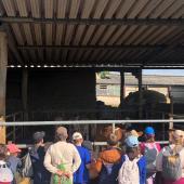Thomas Humbert a reçu sur sa ferme les enfants des écoles primaires de Vellorcey et La Villedieu. Crédit photo : Paul Leuvrey