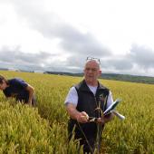 Chaque année, des essais encadrés par la Chambre d'agriculture permettent de mieux apréhender le comportement des variétés de blé dans les conditions locales. Crédit photo : A.Coronel