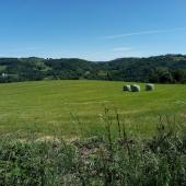 Soutenir la production herbagère par une fertilisation appropriée est un art d’équilibriste.