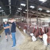 La porte ouverte « Robot de traite et photovoltaïque en autoconsommation » est organisée par la Chambre d’agriculture de Haute-Saône au GAEC du Terroir à Fleurey les Faverney, mardi 31 mars 2026 de 10h à 12h.