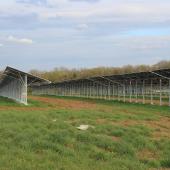 Certaines tables photo-voltaïques ont été équipées de chéneaux, de manière à collecter les eaux de pluies pour l'abreuvement des génisses. Crédit photo : A.Coronel