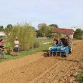 Démonstration d'un "rouleau traceur", qui marque dans la bande travaillée les emplacements réguliers de plantation des plantes maraîchères. Crédit photo : A.Coronel