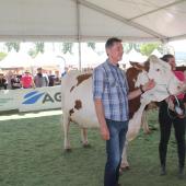 Autour du grand ring, le public pourra assister au classement des sections et aux prix de championnat. Crédit photo : A.Coronel