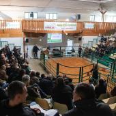 Avec l’Inno’Vente Bien Naître, le Herd Book Charolais a voulu faire évoluer sa vente de station vers un modèle plus économe avec des critères de sélection allégés pour une offre plus diversifiée. Crédit photo : Marc Labille