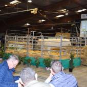 Le 20 février prochain, la vente aux enchères de la station d'évaluation de Jalogny aura bel et bien lieu à Charolles. Crédit photo : Marc Labille