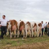 Le lot du centre d’élevage de Scey-sur-Saône s’était imposé à Magnivray en 2021. Crédit photo : A.Coronel