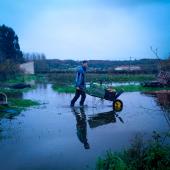 Face au risque accru d'aléa climatique, la biodiversité variétale peut être un levier de résilience. Crédit photo : AgroBio Périgord