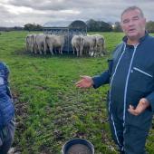 ntoine Louet avec une partie de ses bêtes dans une pâture près de Perrigny-sur-l'Ognon. La pression des vêlages qui approchent devient difficile à supporter face à l'impossibilité de ramener les bêtes dans son exploitation située hors de la zone régulée.