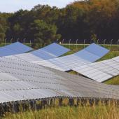 le législateur a beaucoup réduit le prix de rachat obligatoire de l’électricité provenant des panneaux photovoltaïques. Crédit photo : LD