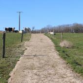 Au printemps, l’herbe jeune et appétente constitue une ressource fourragère économique et de très bonne valeur alimentaire. Crédit photo : AC