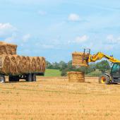 Le non-respect de l’une ou l’autre des obligations légales auxquelles sont assujeties la conduite des engins de levage peut entraîner un refus de prise en charge par votre assureur en cas de sinistre. Crédit photo : Shutterstock