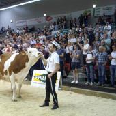 L'an dernier c'est le juge haut-saônois Gaétan Laprevote qui avait jugé le Montbéliard Prestige. Crédit photo : A.Coronel