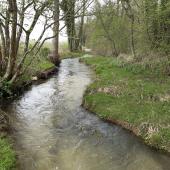 8 fois plus de paramètres mesurés dans les rivières et eaux souterraines depuis 30 ans. Crédit photo : Isabelle Renaut (Jura agricole et rural)