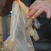 Les crottes des brebis sont toujours prélevées individuellement. Crédit photo : CIIRPO