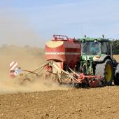 Les conditions sèches qui prévalent actuellement ne sont pas propices aux semis de colza. Crédit photo : Laurent Jung - Terres inovia