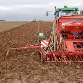 Le décalage de la date de semis est un levier pertinent dans une optique de maîtrise des adventices. Crédit photo : Arvalis-Institut du végétal