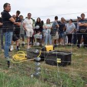 Sur le site de Corcelles, le Pôle régional ovin conduit 300 brebis en plein air en pâturage mixte avec des bovins engraissés à l’herbe. Crédit photo : Marc Labille/TdB