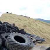 La période des ensilages de maïs bat son plein. La sécurité routière ne doit pas être négligée. Crédit photo : AC