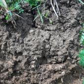Sous la surface, des milliers de mètres cubes de terre arable que fera parler l’analyse de sol... Crédit photo : A.Coronel