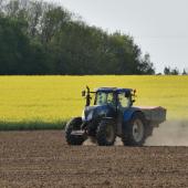 Les besoins en azote augmentent fortement un mois après la levée : des apports en végétation, mieux synchronisés avec la plante, permettent d’optimiser la fertilisation et d’ajuster les doses selon l’état de la culture. Crédit photo : L.Jung/Terres inovia