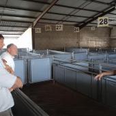 Visite du centre de tri des veaux récemment aménagé. Crédit photo : Isabelle Renaut