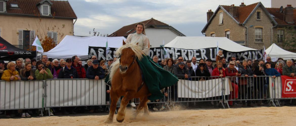 Pauline Chauvet avec sa jument comtoise Hanane, lors du spectacle donné place Rénet. Crédit photo : A.Coronel