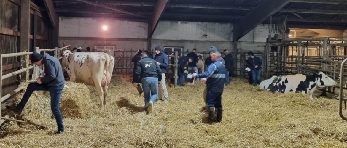 Cette première édition d’une finale départementale de pointage en race prim’holstein a remporté un beau succès. Crédit photo : Emma Chevallier