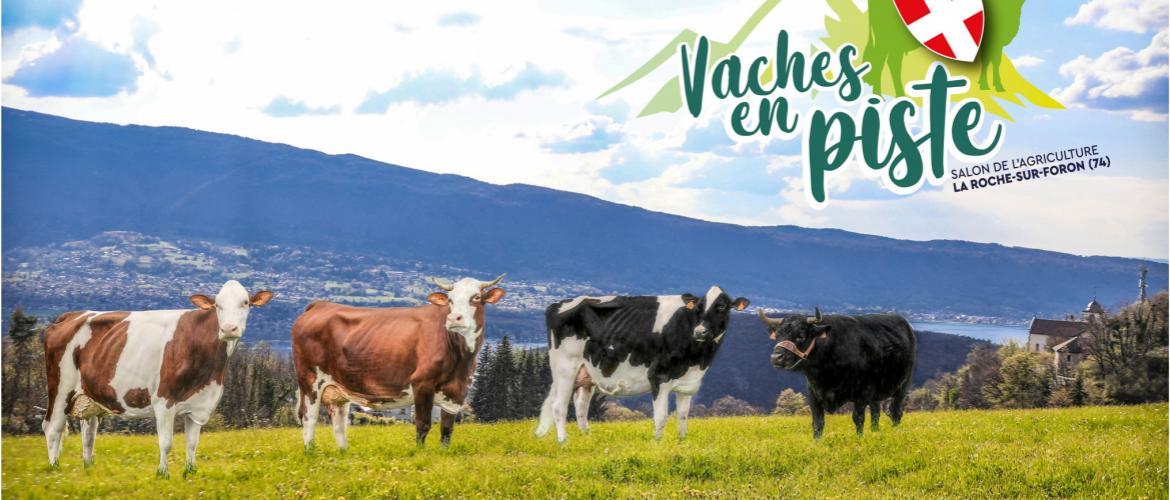 Après une première édition réussie en 2023, le salon Vaches en Piste revient à Rochexpo du 27 au 30 mars 2025. Crédit photo : Vaches en Piste
