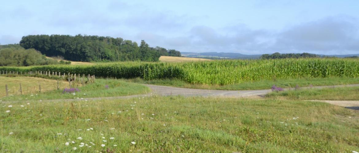 Mise à disposition par le Gaec de la Gare, la parcelle en arrière-plan accueillera la Finale départementale des labours cette année. Crédit photo : A.Coronel