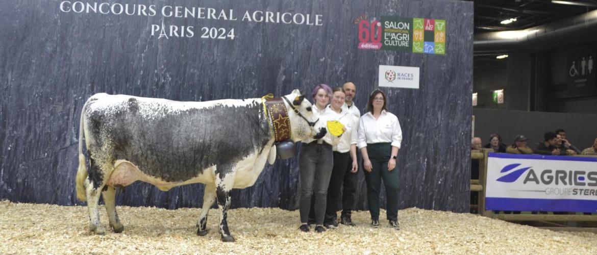 Girly (Tintin sur Noë), grande championne de la race vosgienne de cette édition 2024 du Concours général agricole, appartient à la SNC de l’Envers des Graviers dans les Vosges. Crédit photo : A.Coronel