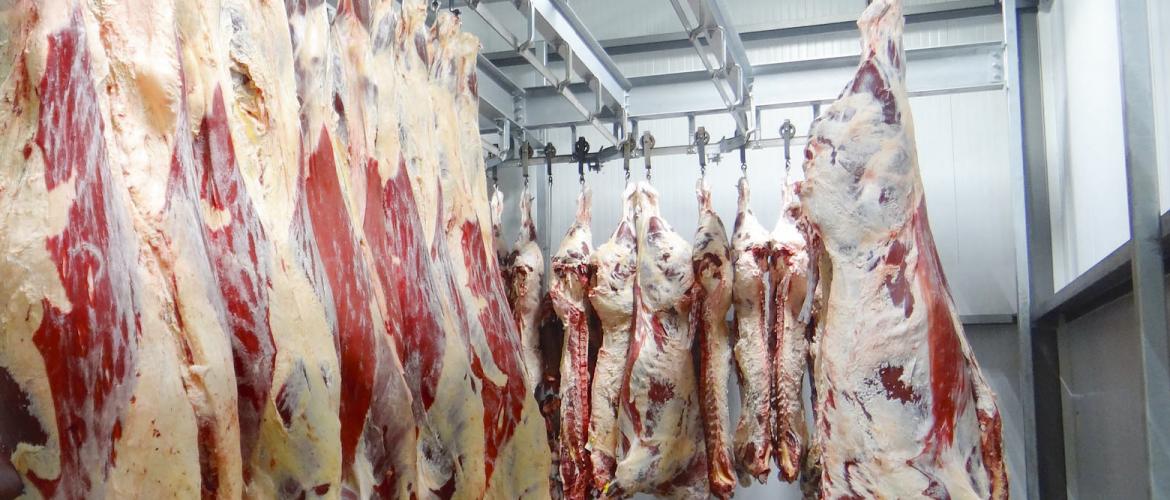 L’abattoir de Luxeuil-les-Bains, géré par la société d’abattage des Vosges saônoises, fait l’objet d’une fermeture administrative