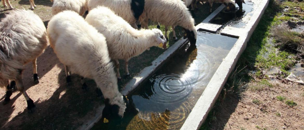 Pour une analyse d'eau, compter entre 100 à 200 € selon les paramètres analysés et les laboratoires. 