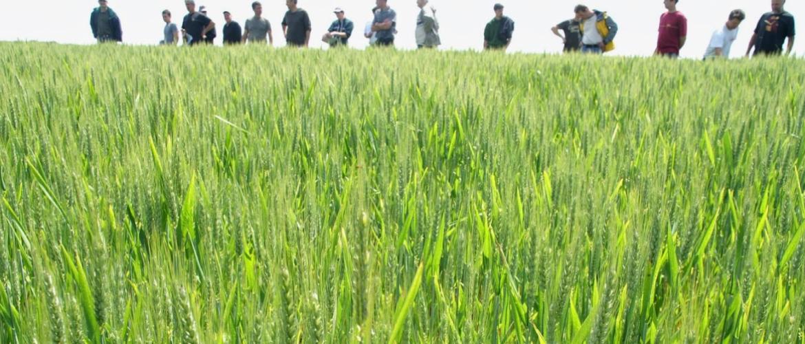 L'implication dans une démarche collective, selon des critères bien précis, sera prise en compte pour accéder à une revalorisation de la DJA. Crédit photo : AC