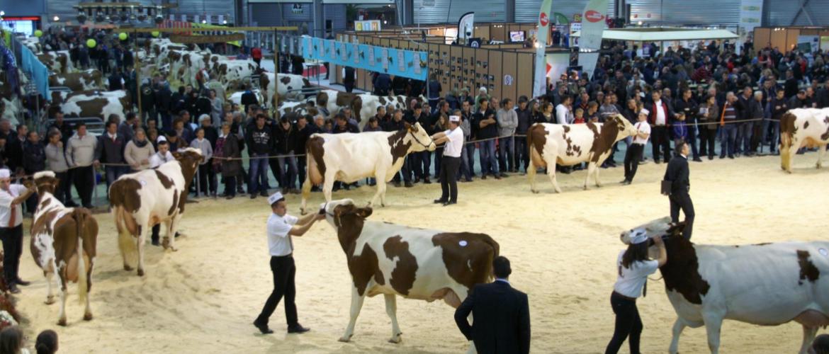 Vache de Salon a succédé à Doubs Terre d'élevage. Crédit photo : Alexandre Coronel