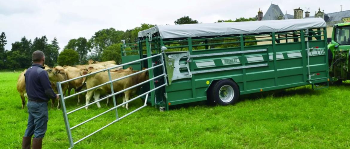 Les élevages en zone règlementée qui ont subi un blocage pendant la période du 04/10/2025 au 17/01/2026 conduisant à une diminution des sorties d'animaux recevront une aide forfaitaire.