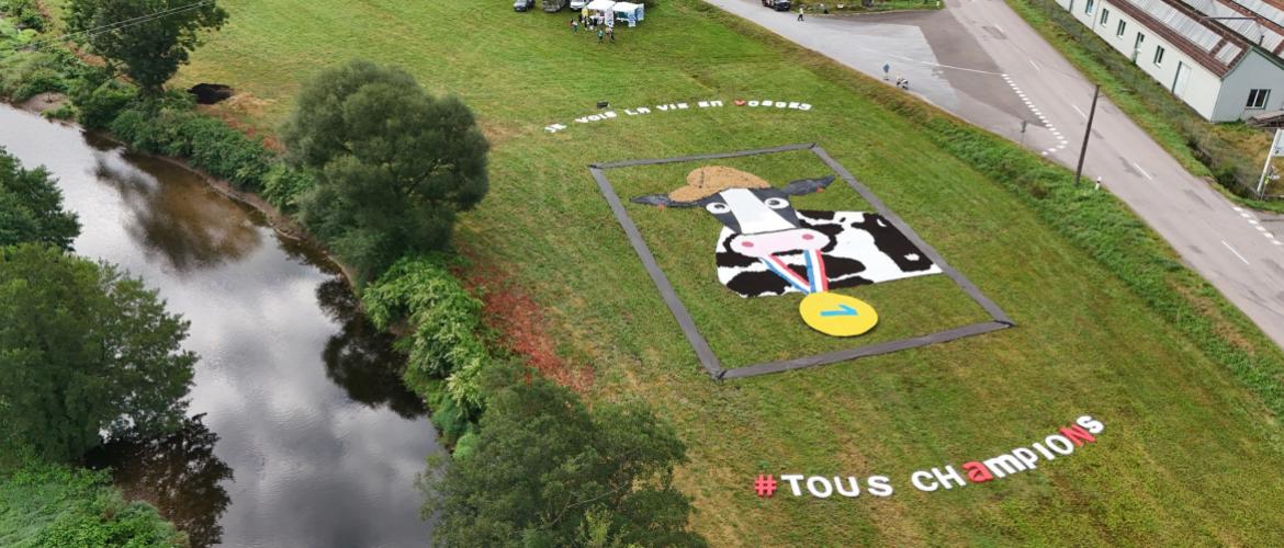 Chaque année, les agriculteurs rivalisent d'inventivité pour mettre leurs activités à l'honneur dans des fresques éphémères, à l'occasion du passage des tours cyclistes.