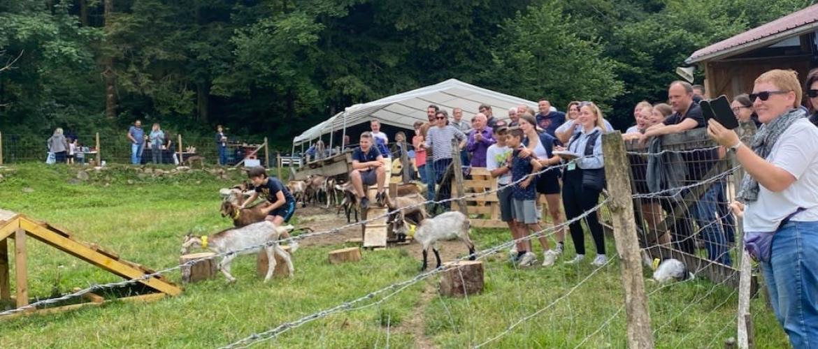 En 2023, la Chèvrerie des Bois Pâturés à Servance avait ouvert ses portes le premier week-end de juillet, dans le cadre de l'opération "un dimanche à la ferme".